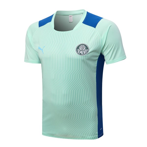 Camiseta Entrenamien Palmeiras 2022-2023 Verde